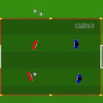 Pulcini_ mini partite per sviluppare tecnica e visione - CAMPO D