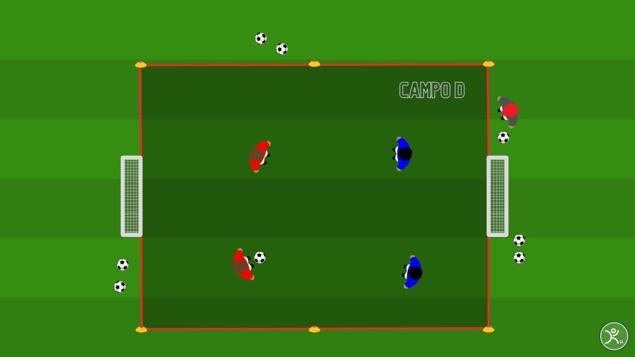 Pulcini_ mini partite per sviluppare tecnica e visione - CAMPO D