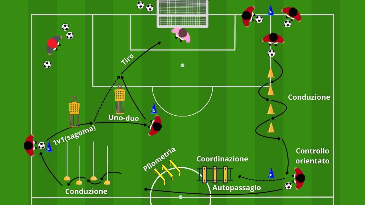 Coordinazione circuito tecnico-fisico con finalizzazione in porta