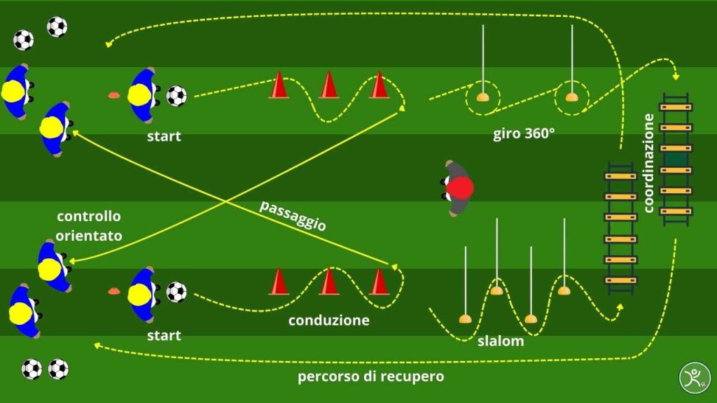 Coordinazione circuito tecnico-fisico con palla e scala