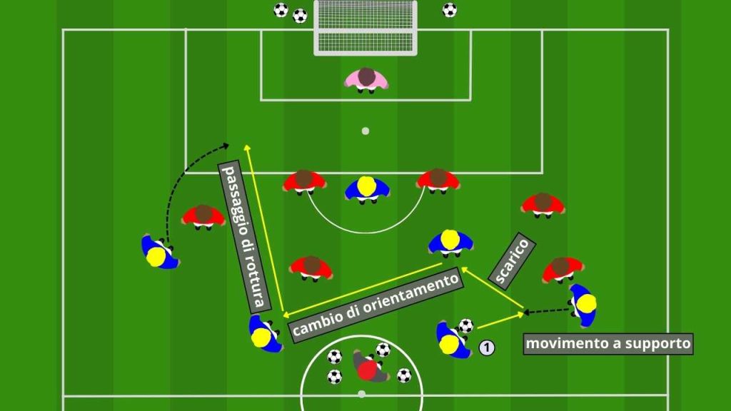 Sviluppo cambi di gioco e smarcamenti nel 1-4-2-3-1
