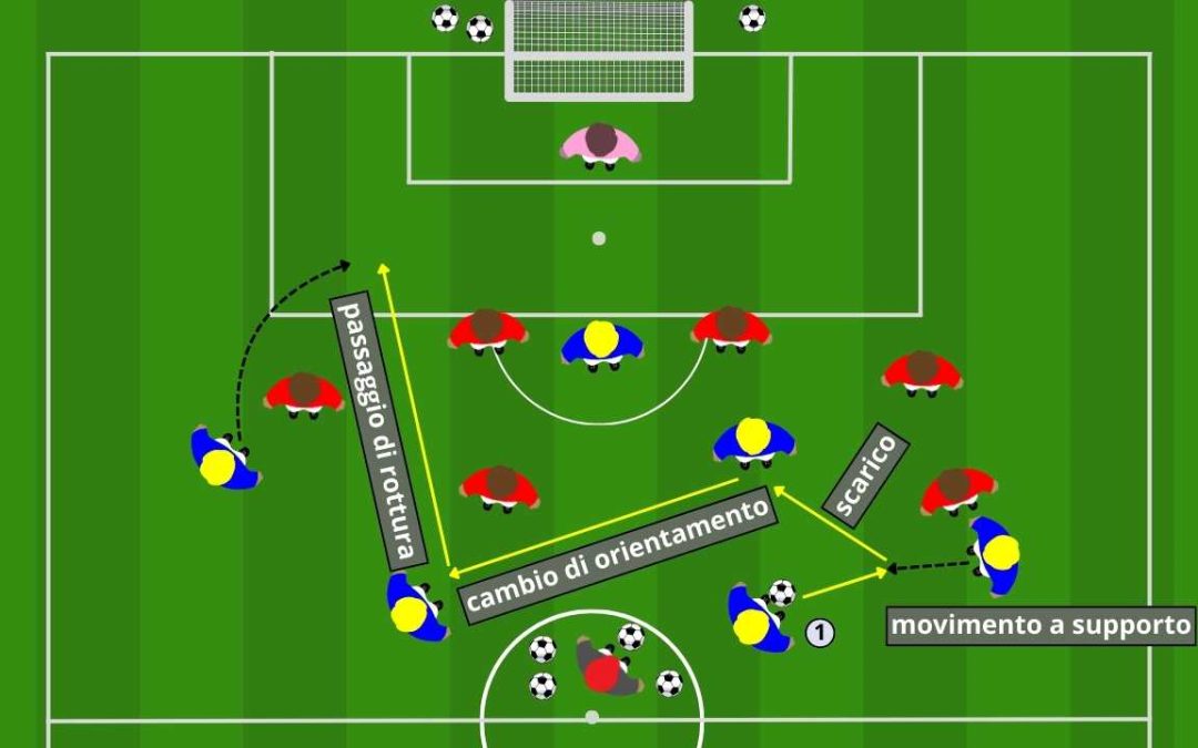 Sviluppo: cambi di gioco e smarcamenti nel 1-4-2-3-1