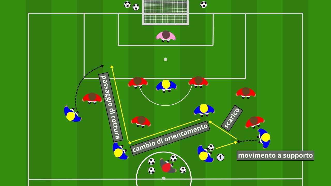 Sviluppo cambi di gioco e smarcamenti nel 1-4-2-3-1